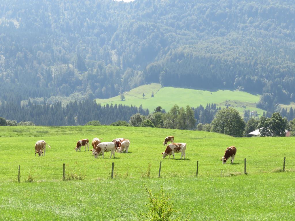Ferienwohnungen Mooshaeusl Reit im Winkl Exterior foto